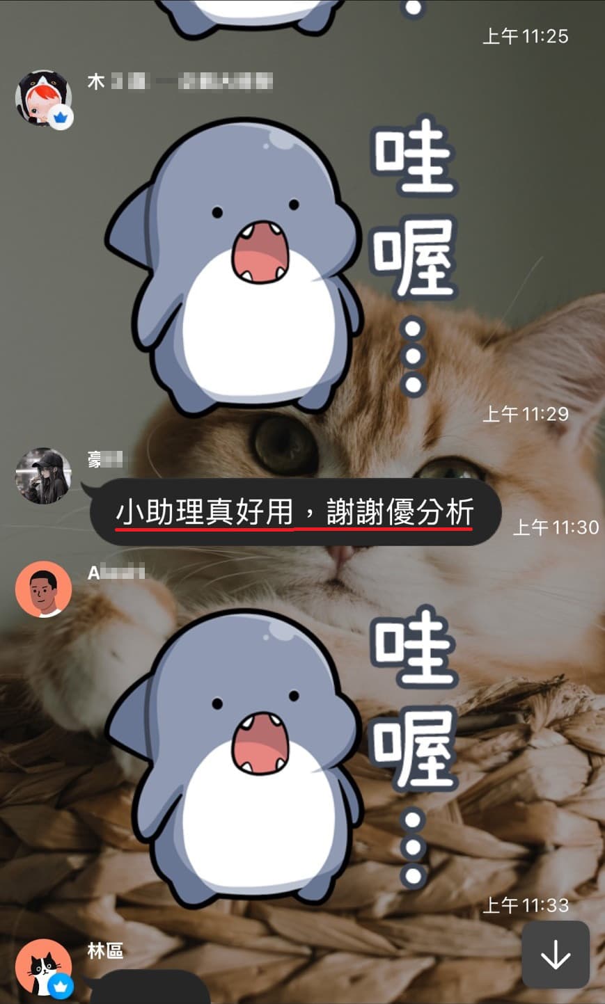 使用心得 20