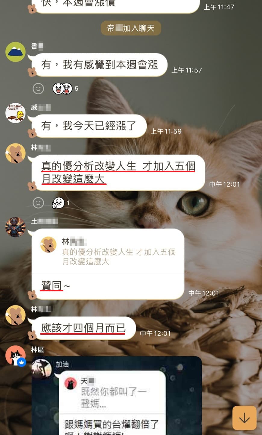 使用心得 21